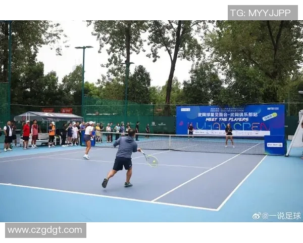 武汉网球队的崛起之路：城市联赛中的奋斗与荣耀