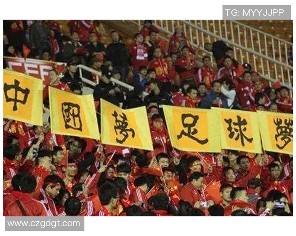 深圳与石家庄足球对决前瞻分析及胜负预测解析